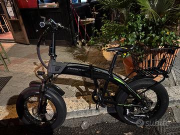 Bici elettrica