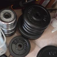 pesi in ghisa e in ghisa gommata