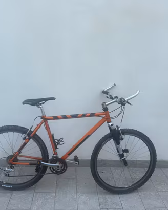 Montain bike taglia 18