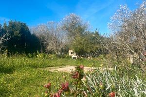 La Tiribba proprietà indipendente con terreno