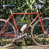 Bici da Corsa Fratelli Sumin