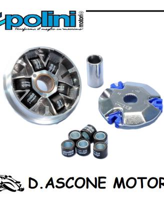 VARIATORE POLINI per SUZUKI : ESTILETE 50 UF – ZIL