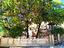 Immagine 28