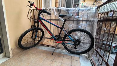 Bicicletta 24
