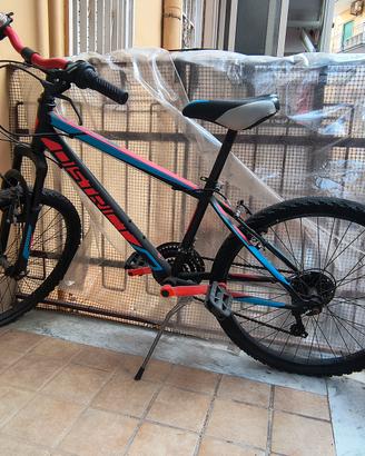 Bicicletta 24