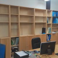 Libreria Billy / Oxberg Ikea con ante, betulla
