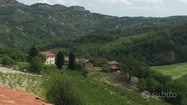 Vendita casolare nel verde e nel silenzio