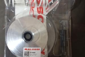 Variatore Malossi Beverly 250-300