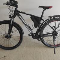 Bicicletta Mountain bike 
