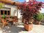 Immagine 20