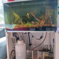 Acquario 110x50x60 cm con Mobile, Sump e accessori