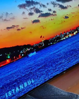 Tv LG SMART OLED 55 4K