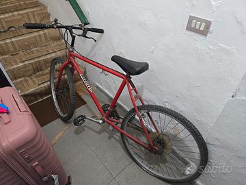 bicicletta s