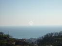 villa-a-schiera-a-cogorno