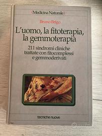 L’UOMO,la FITOTERAPIA,la GEMMOTERAPIA
