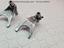 Immagine 26