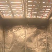 2 Mars Hydro Ts 1000 Lampade Coltivazione Indoor