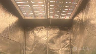 2 Mars Hydro Ts 1000 Lampade Coltivazione Indoor