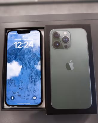 iPhone 13 Pro 256 GB