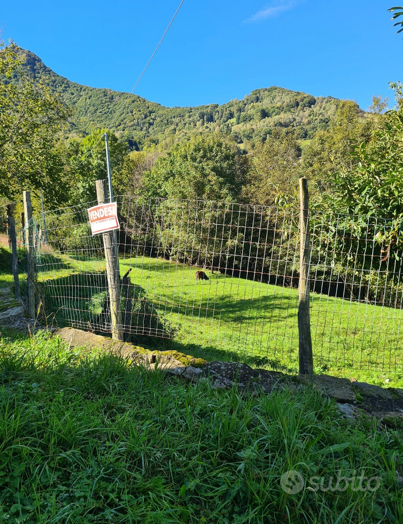 Rustico e terreno - Vista 2