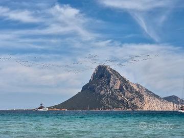 Sardegna vista mare Porto Taverna 5 posti letto 