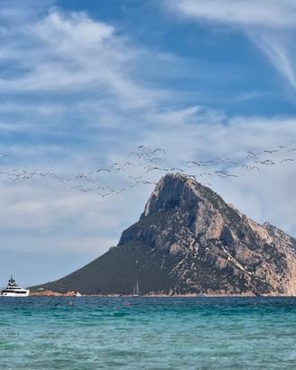 Sardegna vista mare Porto Taverna 5 posti letto 