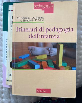 Itinerari di pedagogia dell’infanzia