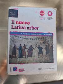 libro scuola Il nuovo Latino Arbor liceo scienze  
