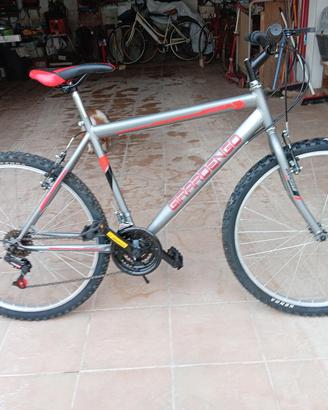 mbike