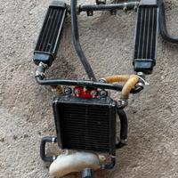 Radiatori phantom f12 + aerox