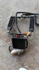 Radiatori phantom f12 + aerox