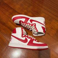 Nike terminator high