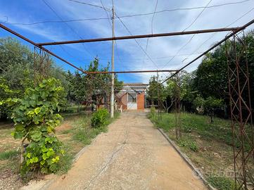 CASA INDIPENDENTE A TERRACINA