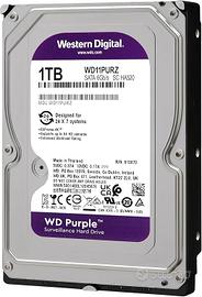 Hard Disk 1 TB Purple