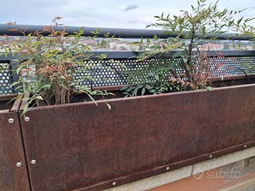 Fioriere in acciaio corten