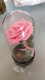rosa sotto vetro 