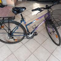 bicicletta donna