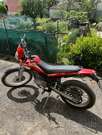 beta alp 200