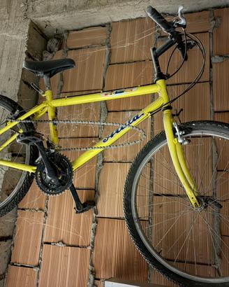 Bici MTB