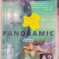 Panoramic A2