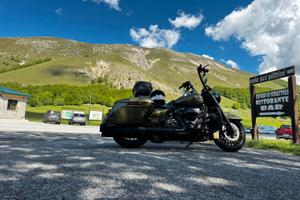 Harley Davidson Road King Special