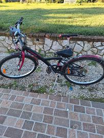 bici da bambina taglia 20