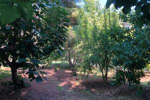Terreno via Altofonte valle dell'Oreto