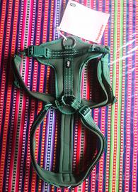 Pettorina cane neoprene