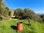 Immagine 19