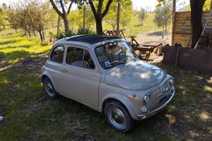 FIAT nuova 500