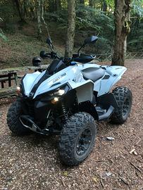 Can Am Renegade 650 2025 e accessori