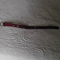 Collare taglia piccola