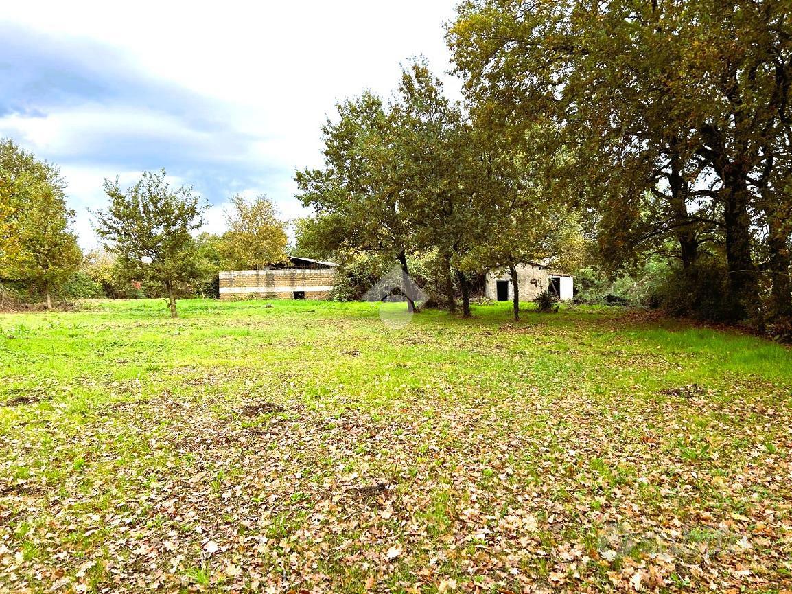 RUSTICO A SUTRI - Vista 3