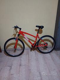 bicicletta da trekking 